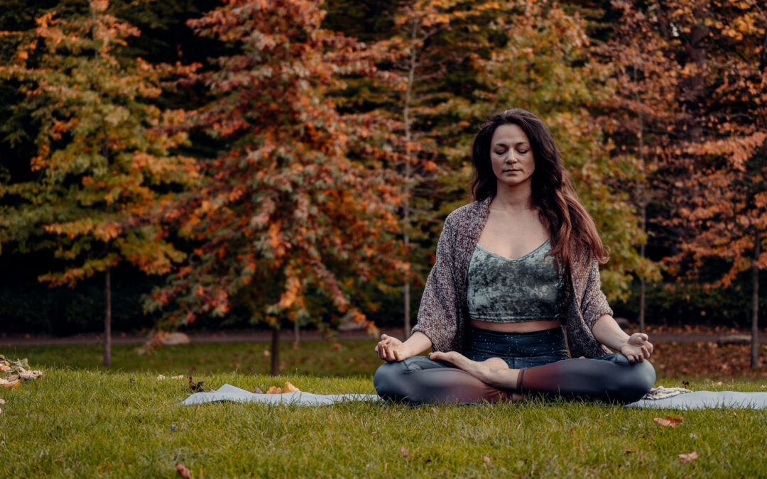 Meditation: The royal path to the expansion of consiousness